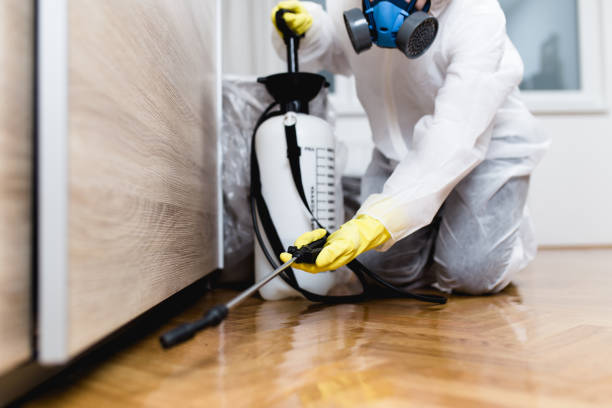 Best Best Pest Control Companies  in Arden Hills, MN