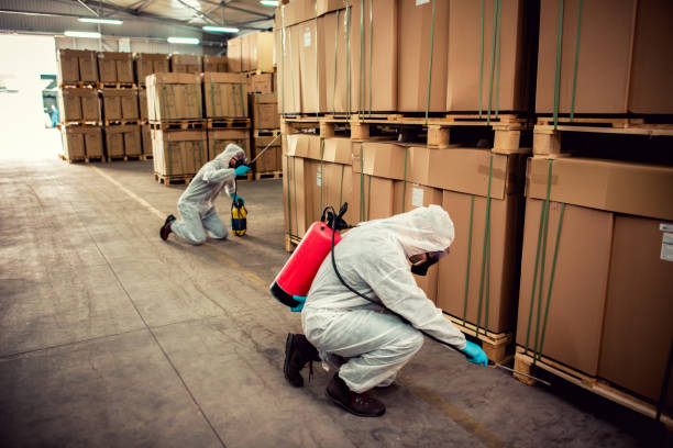 Best Bed Bug Extermination  in Arden Hills, MN