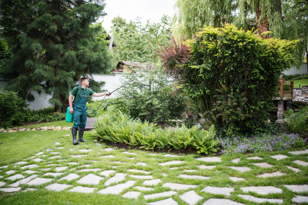 Best Affordable Pest Control Services  in Arden Hills, MN