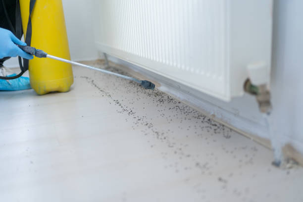 Pest Control for Restaurants in Arden Hills, MN