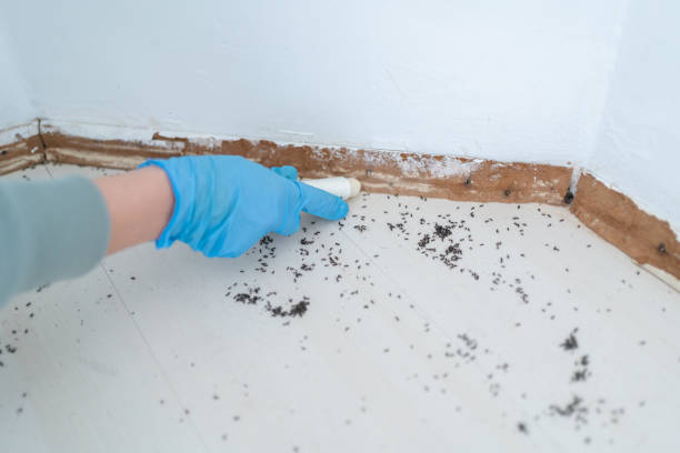 Best Mosquito Control Services  in Arden Hills, MN