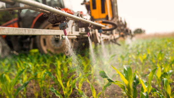 Best Pest Control Treatment  in Arden Hills, MN